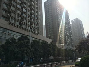 鄭州未來(lái)國(guó)際項(xiàng)目綜合分析 優(yōu)勢(shì)、不足及周邊房產(chǎn)中介評(píng)價(jià)